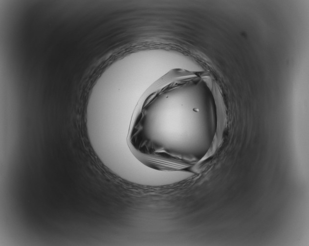 X0000087580822200705251839
