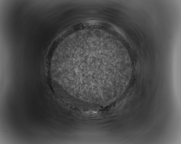 X0000087580823200705251839