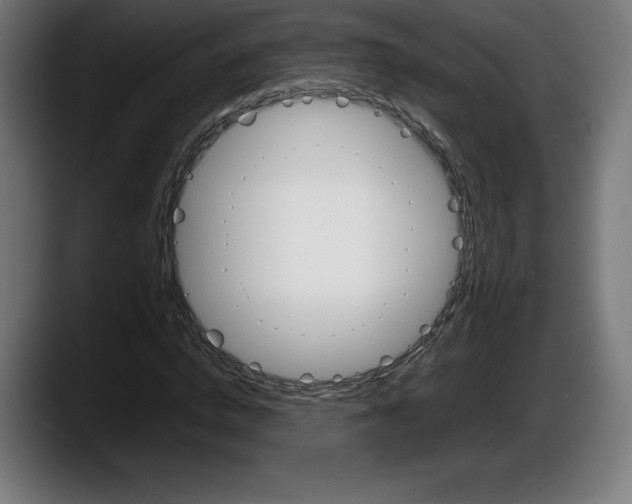 X0000087580824200705251839