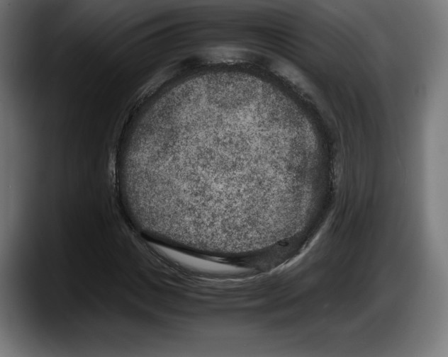X0000087580825200705251839