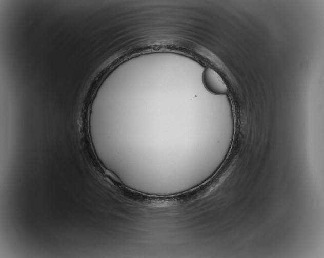X0000087580826200705251839