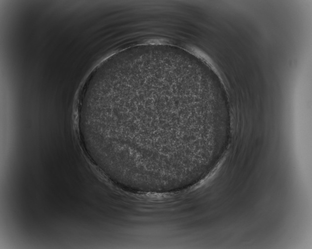 X0000087580827200705251839