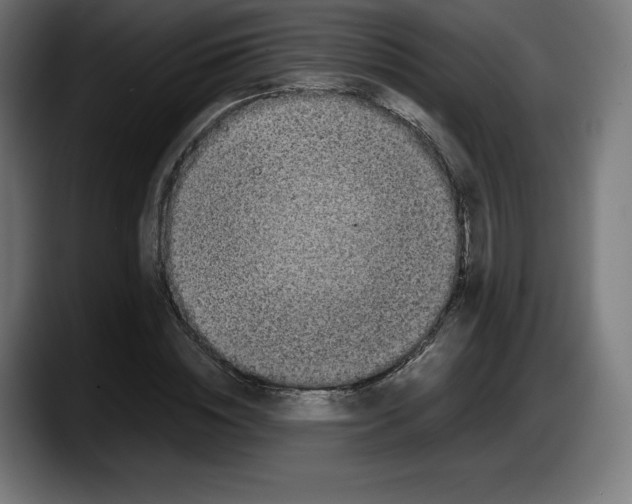 X0000087580828200705251839