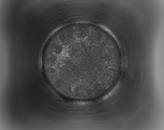 X0000087580829200705251839