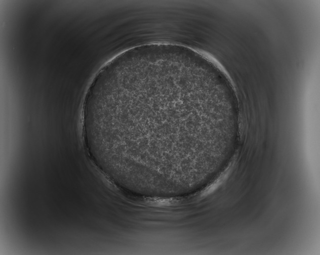 X0000087580831200705251839