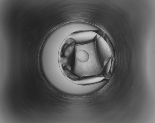 X0000087580834200705251839