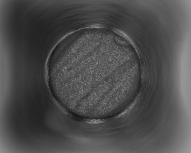 X0000087580835200705251839