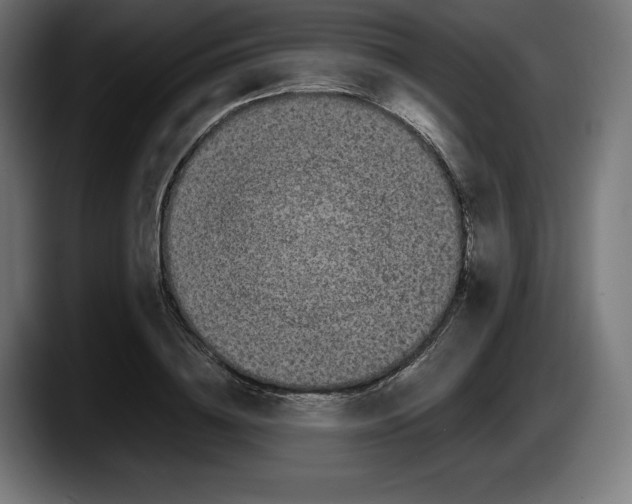 X0000087580836200705251839