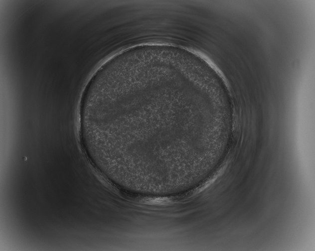 X0000087580837200705251839