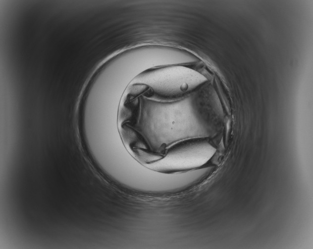 X0000087580838200705251839