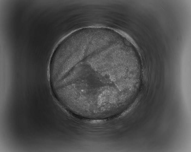 X0000087580839200705251839