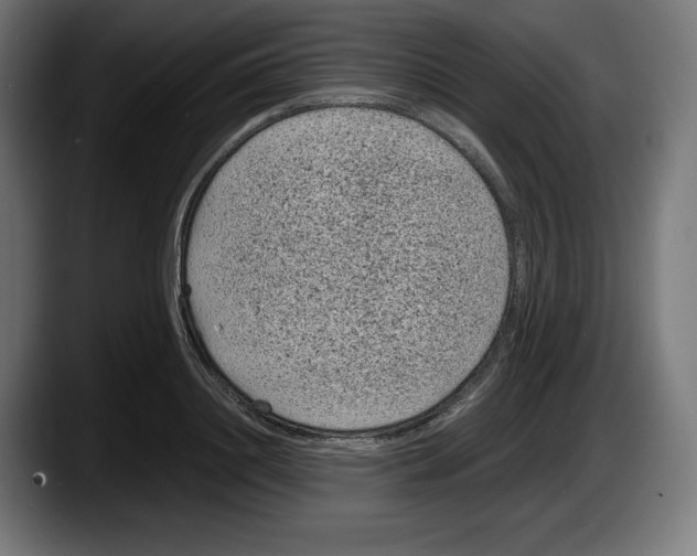 X0000087580844200705251839