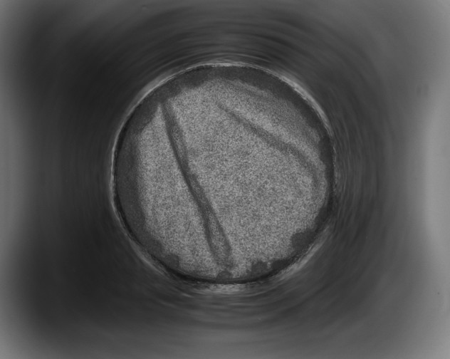 X0000087580845200705251839