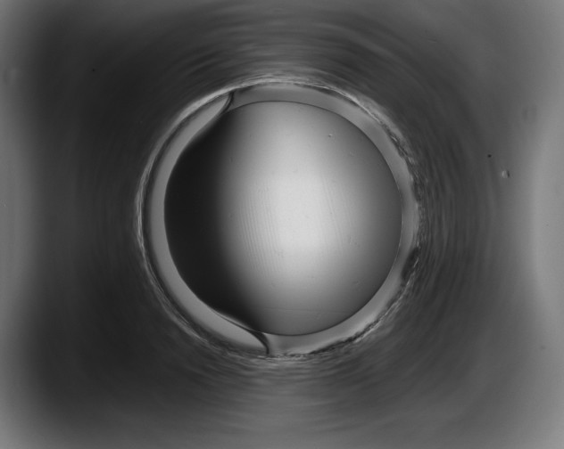 X0000087580846200705251839