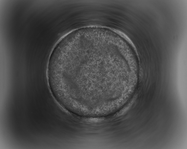 X0000087580847200705251839
