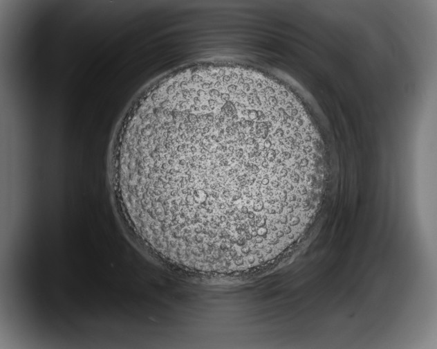 X0000087580848200705251839