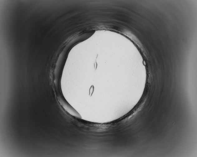 X0000087580849200705251840