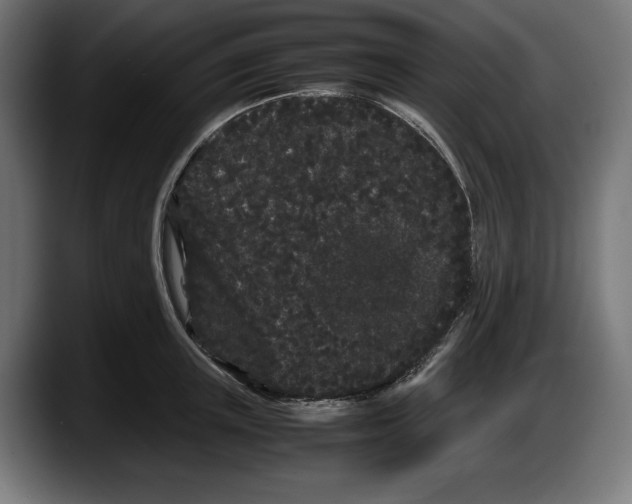 X0000087580851200705251840