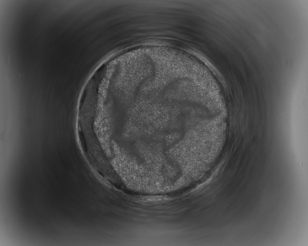 X0000087580853200705251840