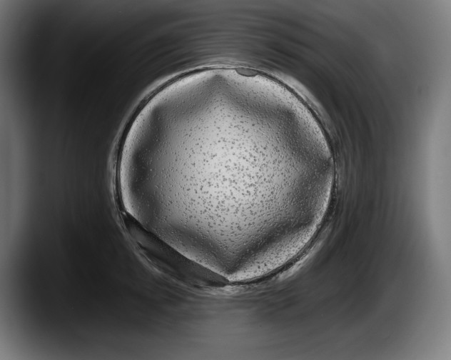 X0000087580854200705251840
