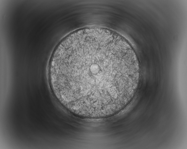 X0000087580856200705251840