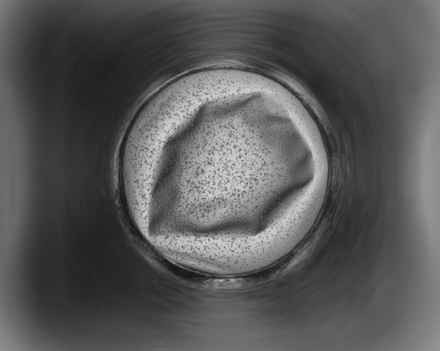 X0000087580858200705251840