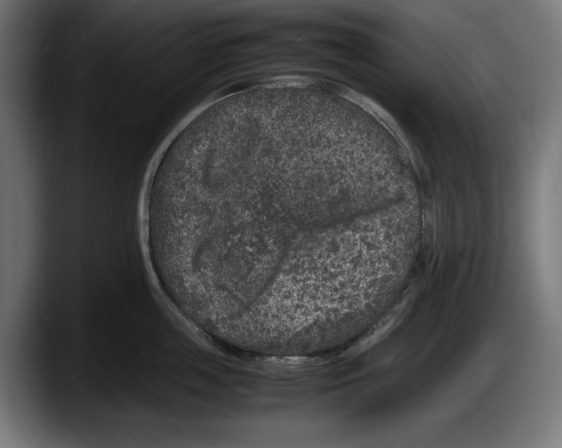 X0000087580859200705251840