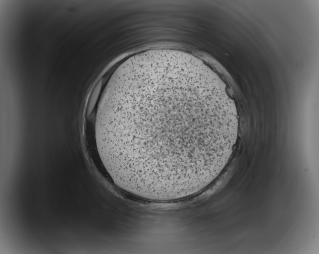 X0000087580860200705251840