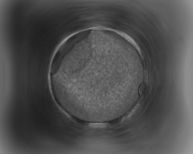 X0000087580863200705251840