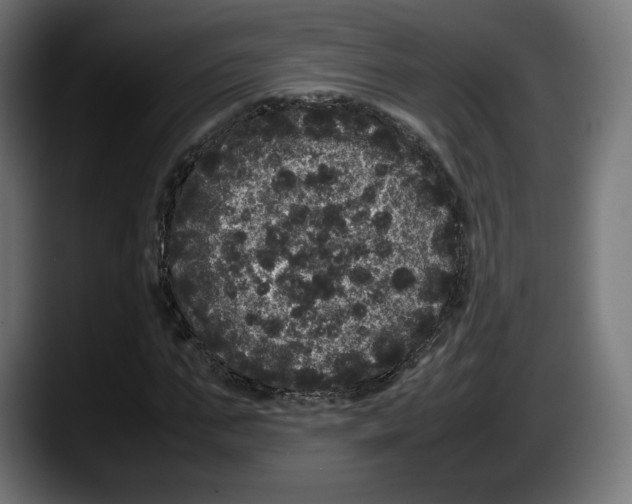 X0000087580871200705251839