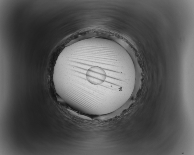 X0000087580872200705251839
