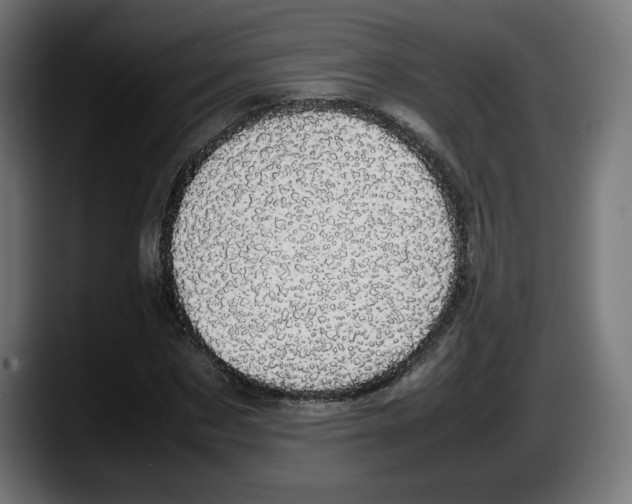 X0000087580873200705251839