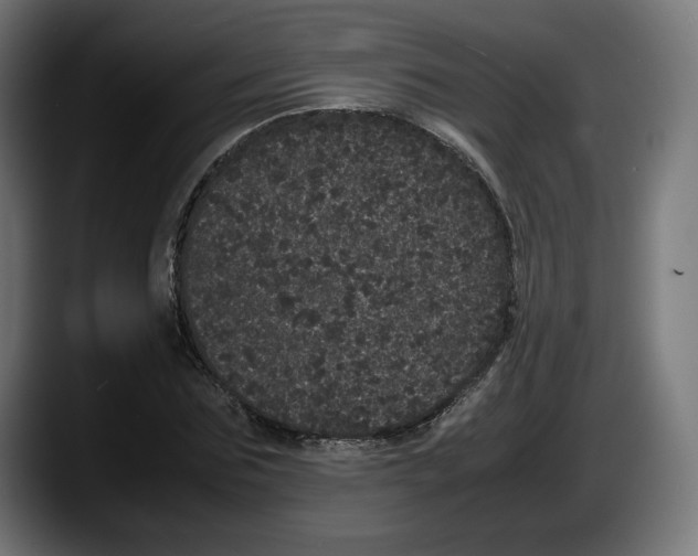 X0000087580875200705251839