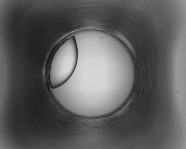 X0000087580876200705251839
