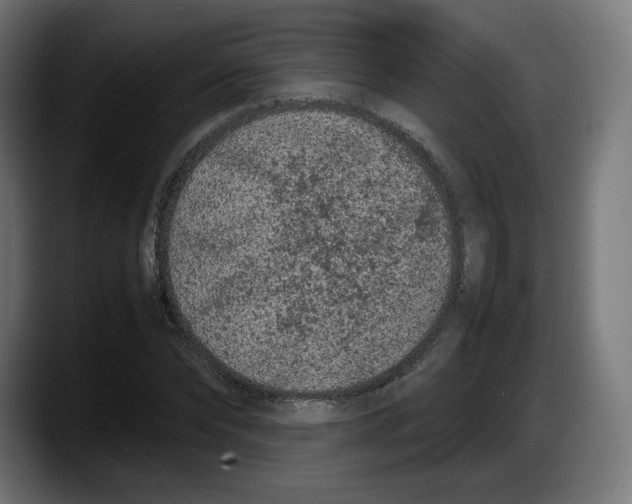 X0000087580878200705251839