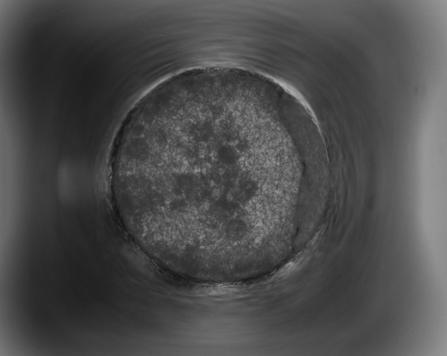 X0000087580879200705251839