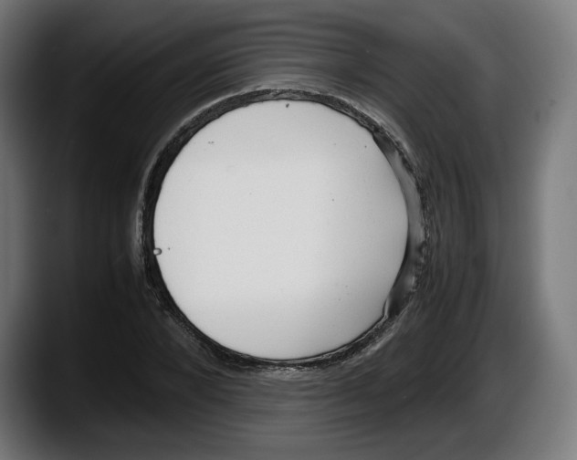 X0000087580880200705251839