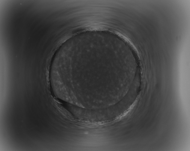 X0000087580881200705251839