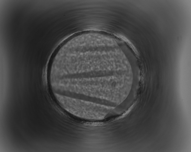 X0000087580884200705251839