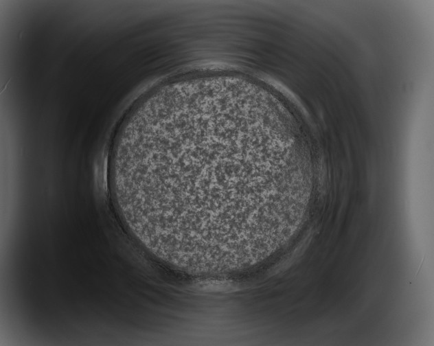 X0000087580886200705251839