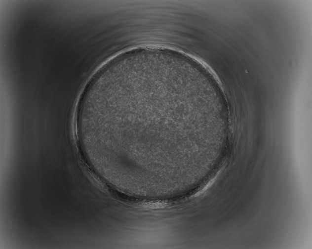 X0000087580887200705251839