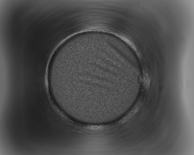 X0000087580888200705251839