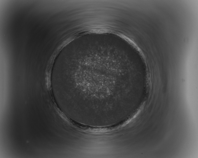 X0000087580889200705251839