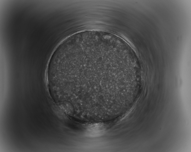 X0000087580891200705251839