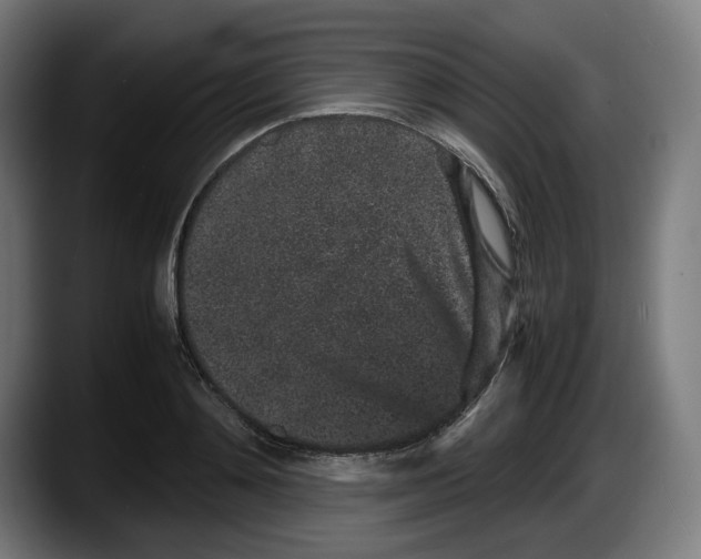 X0000087580892200705251839