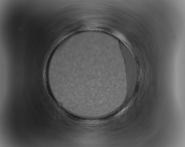 X0000087580893200705251839