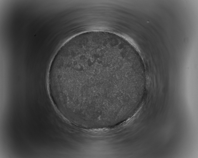 X0000087580895200705251839