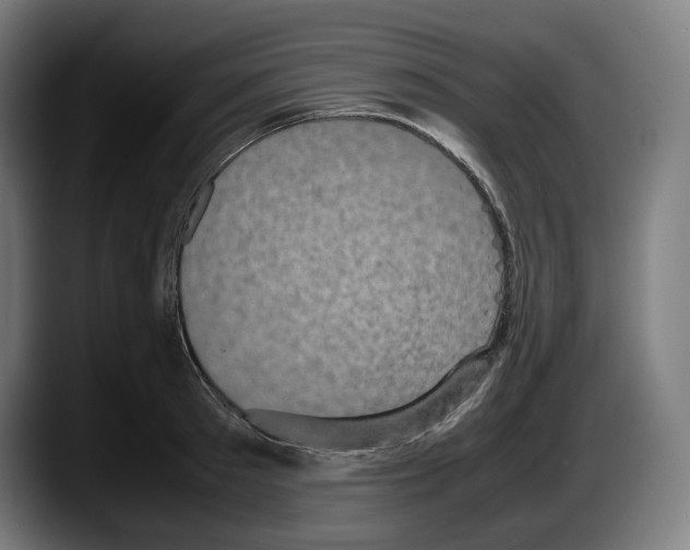 X0000087580897200705251839