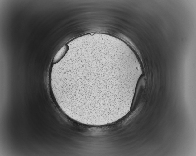 X0000087580898200705251839
