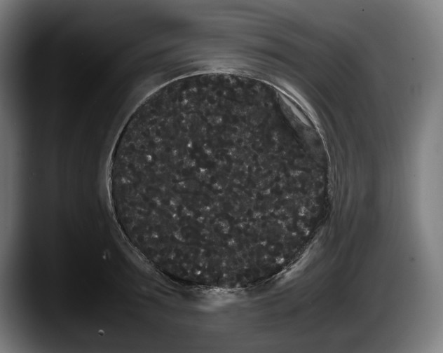 X0000087580899200705251839